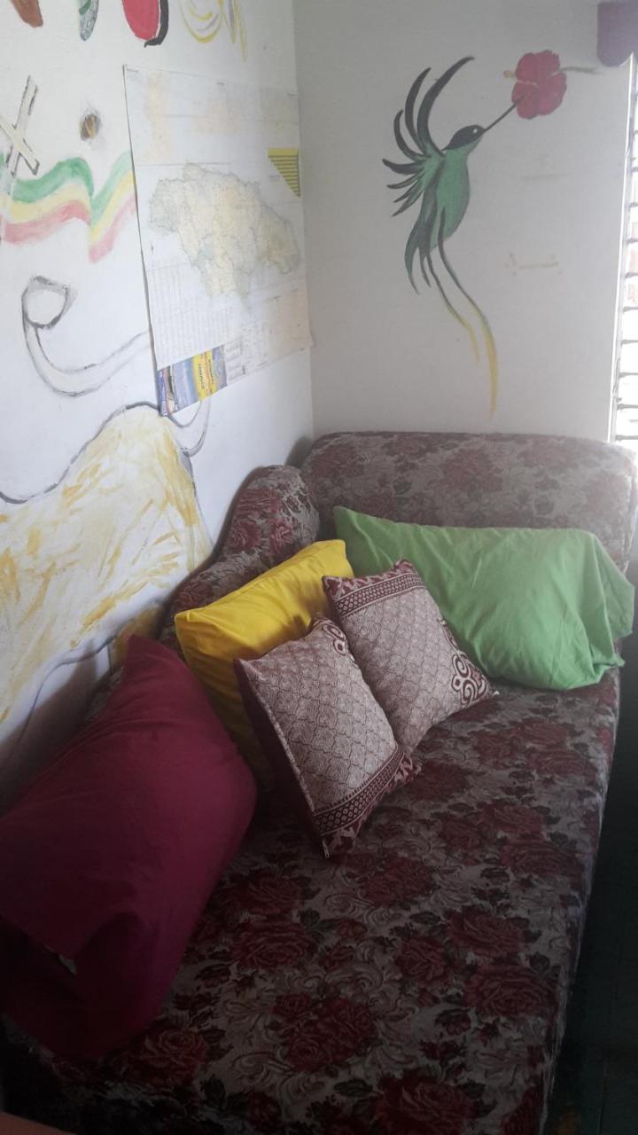 Holiday Home - Guest House Port Antonio Exterior foto
